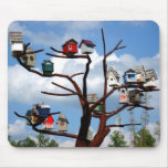 Bird Houses mousepads