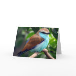 Bird In Blue Greeting Card