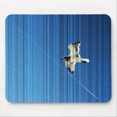 Bird in Flight 4 by lioneyes