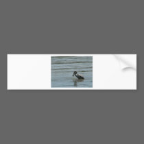 Bird in water bumper stickers