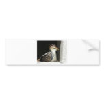 bird in window bumper stickers