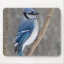 Bird Mouse pad 12