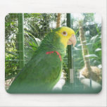 Bird Mouse pad 13