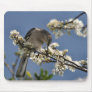 Bird Mouse pad 14