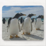 Bird Mouse pad 19