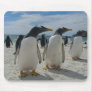 Bird Mouse pad 19