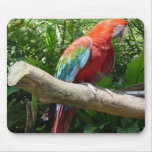 Bird Mouse pad 1
