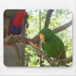 Bird Mouse pad 21