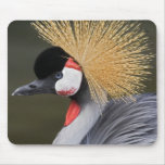 Bird Mouse pad 4