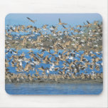 Bird Mouse pad 5