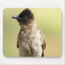 Bird Mouse pad 8