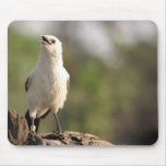 Bird Mouse pad 9