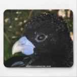 Bird Mouse Pad