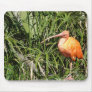 Bird Mouse Pad