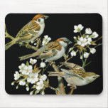 Bird Mousepad