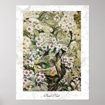 BIRD NEST ,white brown green yellow Print