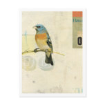 Bird No.1 Postcards
