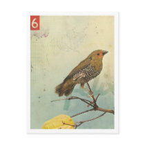 Bird No.2 Postcard