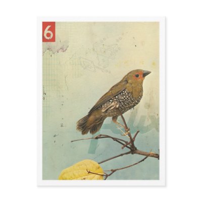 Bird No.2 Postcard by KareemRizk