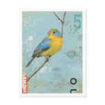 Bird No.5 postcards