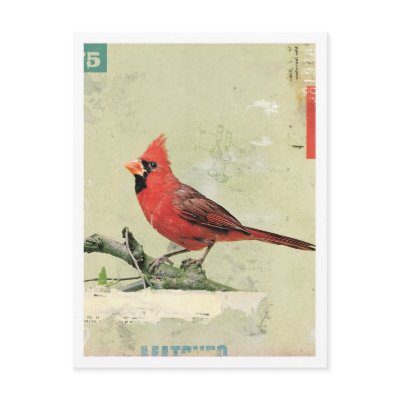 Bird No.6 Post Card by KareemRizk