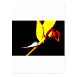 Bird Of Paradise 1 Post Card
