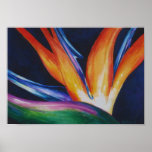 Bird of Paradise 1 Watercolor Art Poster
