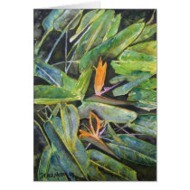 bird_of_paradise_2