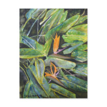 bird_of_paradise_2