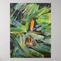bird_of_paradise_2