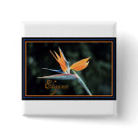 Bird of Paradise Button