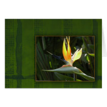 Bird of Paradise Greeting Card
