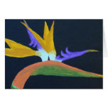 Bird Of Paradise Card