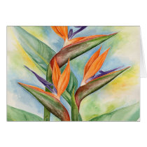 Bird Of Paradise Flower Art - Multi Card