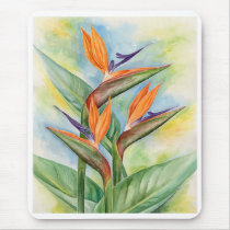 Bird Of Paradise Flower Art - Multi Mouse Mat