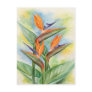 Bird Of Paradise Flower Art - Multi Postcard