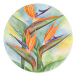 Bird Of Paradise Flower Art - Multi Round Stickers