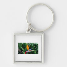 Bird Of Paradise Flower - California Keychain
