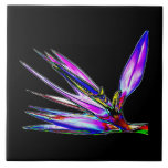 Bird of Paradise Flower (Coloured Foil Effect)