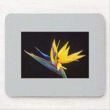 Bird-Of-Paradise Flower Mousepads