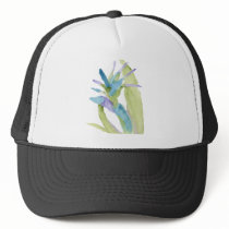Bird of Paradise