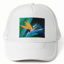 Bird Of Paradise (Hawaii)