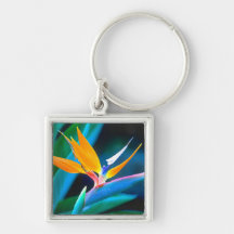 Bird Of Paradise (Hawaii) Key Chain