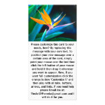 Bird Of Paradise (Hawaii) Photo Card Template