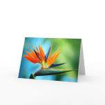 Bird of Paradise I Greeting Card