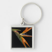 Bird of Paradise Key Chains