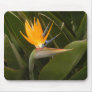 Bird of Paradise Mousepads