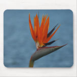 bird of paradise mousepad