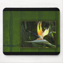 Bird of Paradise Mouse Mats
