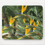 Bird-of -Paradise  mouspad Mouse Pad